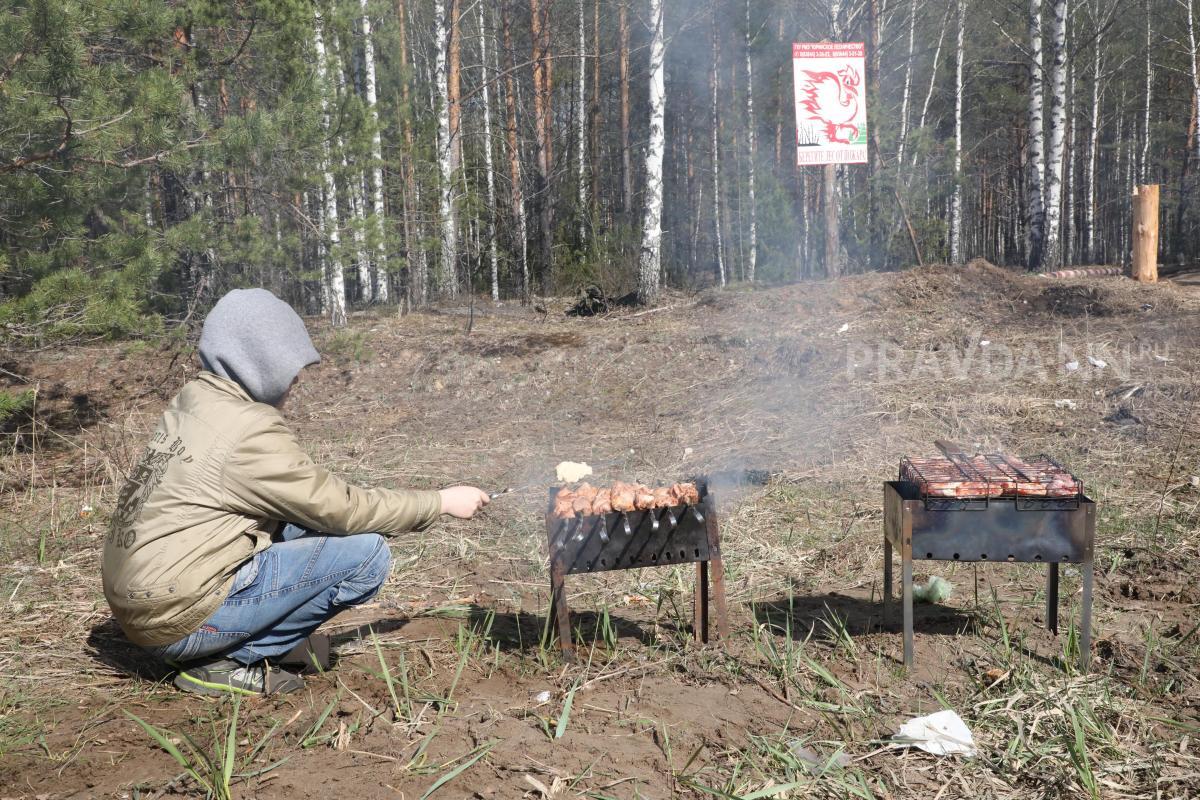 Нижегородцев предупредили о высокой пожароопасности лесов на юге региона