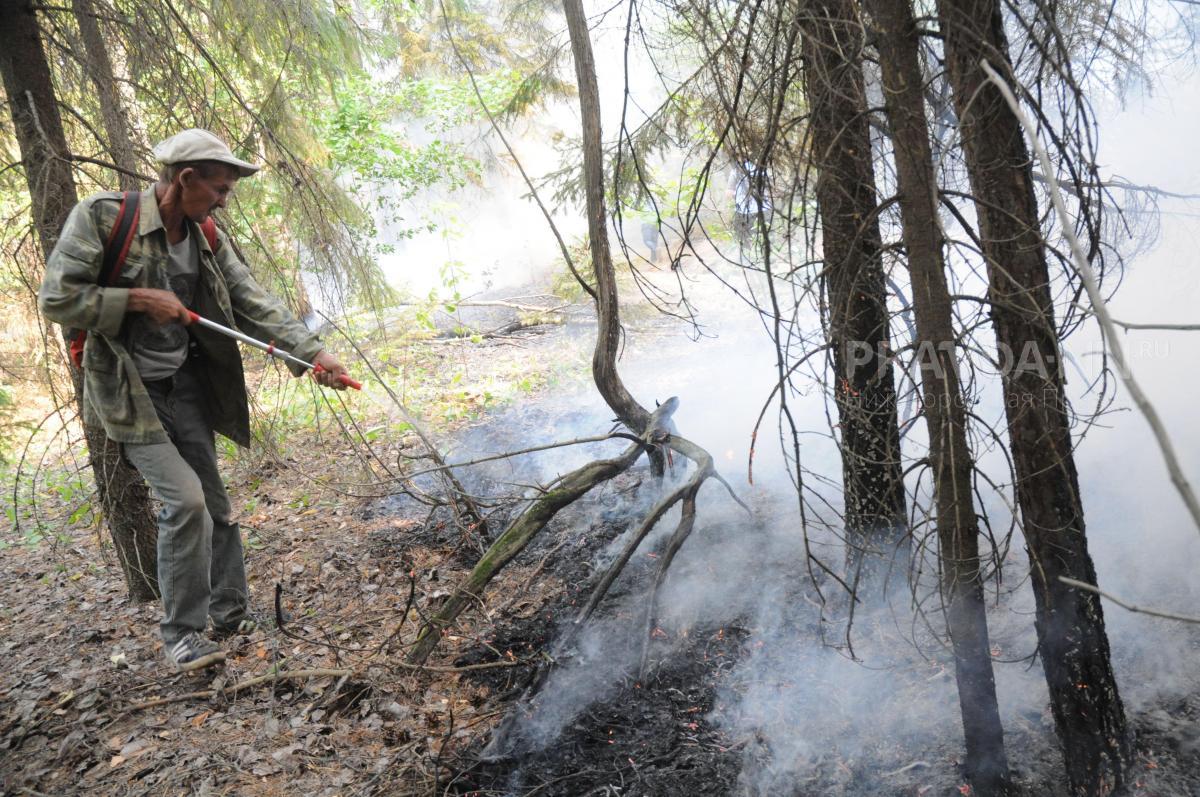 В Нижегородской области установился высокий класс пожароопасности лесов