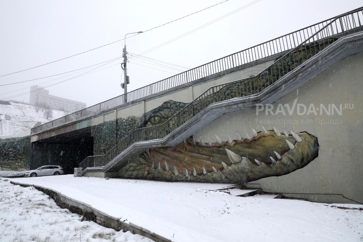 38% нижегородцев хотят вернуть крокодила на Канавинский мост