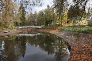 Хабенский и Кустурица выступят в Болдино на концерте в день рождения Пушкина