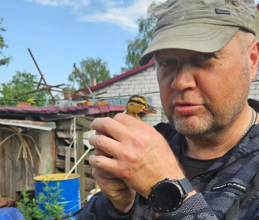 Нижегородец выходил утенка из яйца, найденного собакой в Стригинском Бору