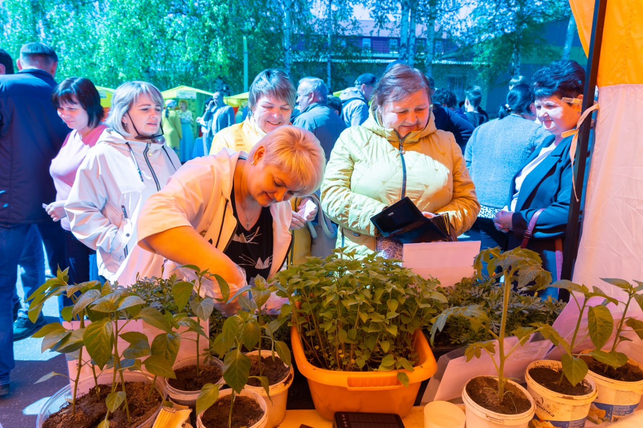 45 ярмарок «Покупайте нижегородское» пройдет в июне в регионе |  Нижегородская правда