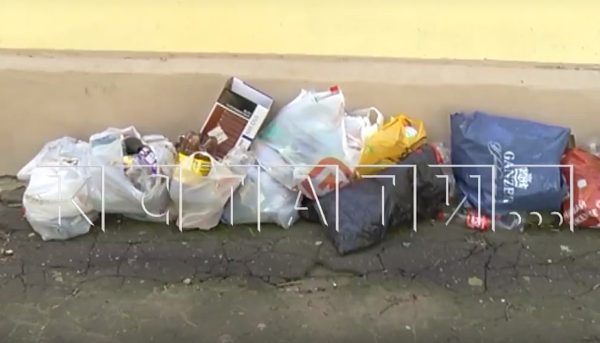 Жильцы дома по улице Бекетова жалуются на соседку, устроившую свалку в квартире