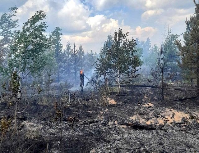 Лесной пожар локализовали в Керженском заповеднике