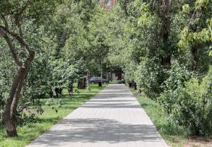Сквер на улице Акимова в Нижнем Новгороде открылся после благоустройства