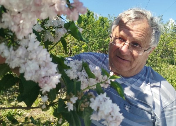 Нижегородский садовод Александр Горелов вырастил более 100 сортов сирени