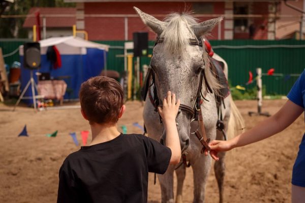 «Мощный источник позитива»: для подопечных нижегородских ПНИ и детдома-интерната провели сеанс иппотерапии