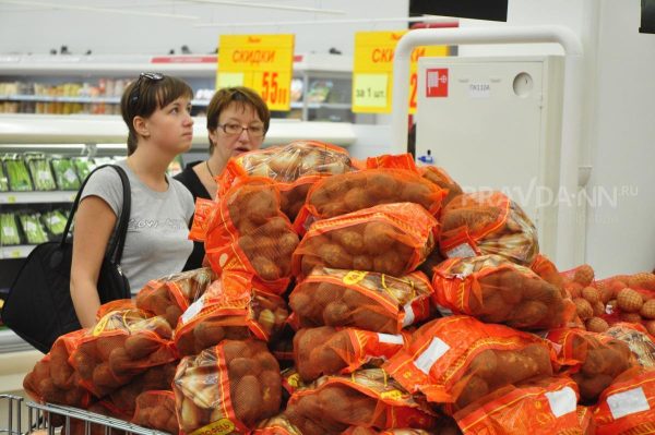 Картофель резко подорожал: ждать ли нижегородцам снижения цены? 