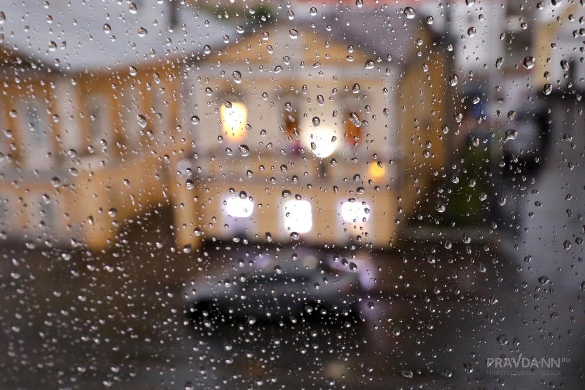 Дожди с грозами прогнозируют синоптики в Нижнем Новгороде в эти выходные