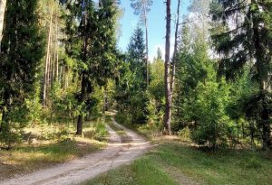 Приметы на 5 июля: что можно и чего нельзя делать в этот день