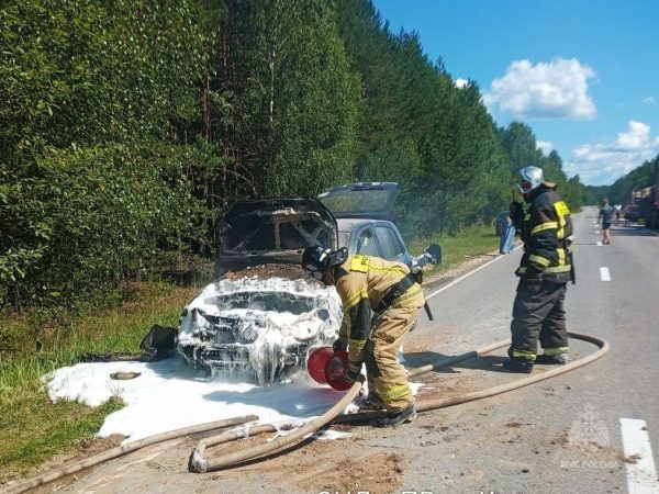 Автомобиль загорелся у нижегородки во время движения по трассе