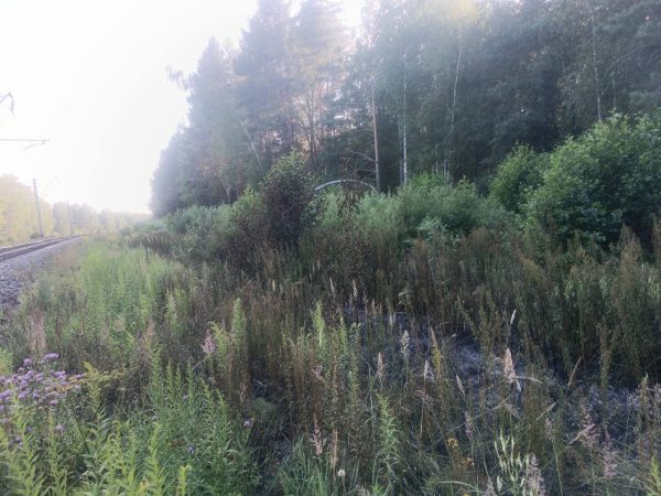 Трава загорелась вдоль железной дороги в Нижегородской области
