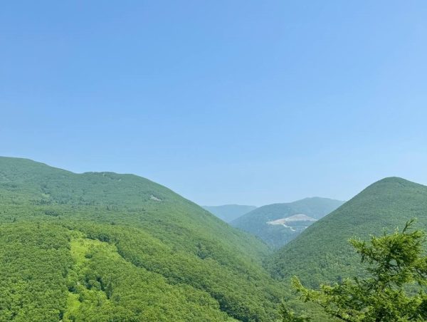 Юрий Шалабаев намерен озеленить Нижний Новгород по примеру Южно-Сахалинска