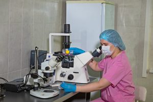 Нижегородские ученые получат грант на создание вакцины от рака&nbsp;мозга