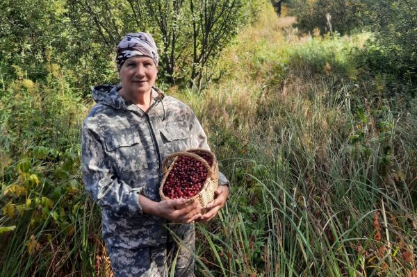 Нижегородцы поделились, как правильно собирать клюкву