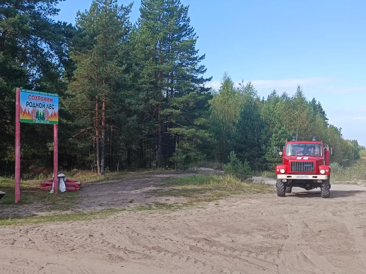 Патрулирование городских лесов в Нижнем Новгороде проходит в усиленном режиме