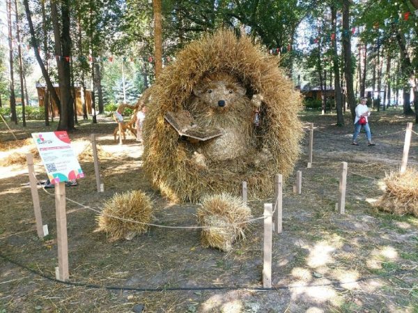 Сломанные вандалами скульптуры из соломы отремонтируют в Автозаводском парке