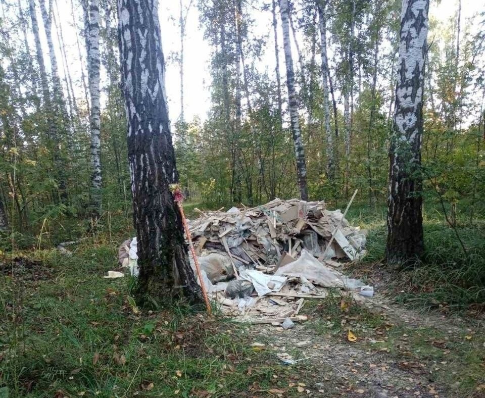 Свалку бытовых отходов в лесополосе на Сортировке утилизировали