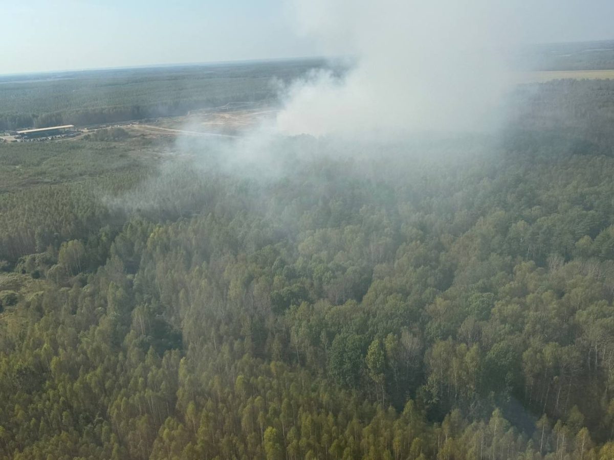 Последствия пожара на полигоне ТБО в Городецком округе ликвидируют в октябре