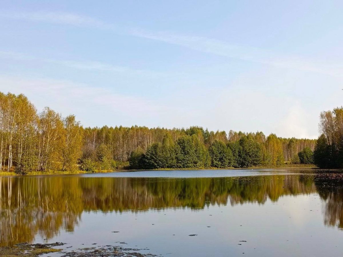 Никаких наслоений на почве вокруг Городецкого полигона ТБО не обнаружили