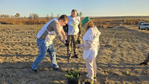 Нижегородская область и ДНР начали совместную работу по развитию движения школьных лесничеств