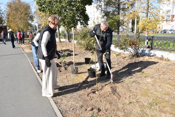 30 саженцев высадили сегодня депутаты и сотрудники городской Думы Дзержинска