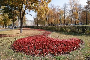 Пресс-служба администрации Нижнего Новгорода