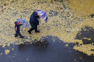 Почему в ноябре пропадают силы и кажется, что год прошел зря