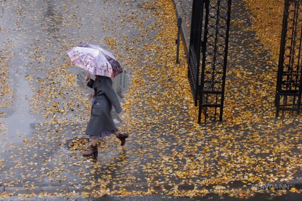 Приметы на 7 ноября: что можно и чего нельзя делать в этот день