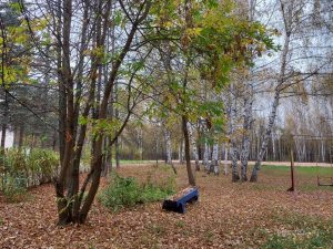 Синоптики пообещали нижегородцам тёплую осень