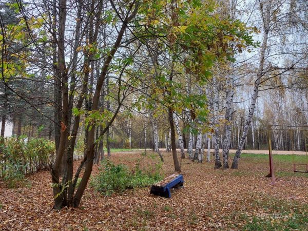 Синоптики обещают нижегородцам облачную погоду в выходные