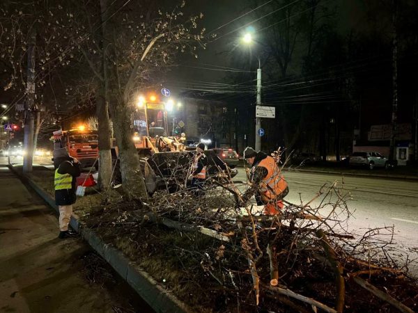 Около 40 деревьев повалило в Нижнем Новгороде из-за сильного ветра