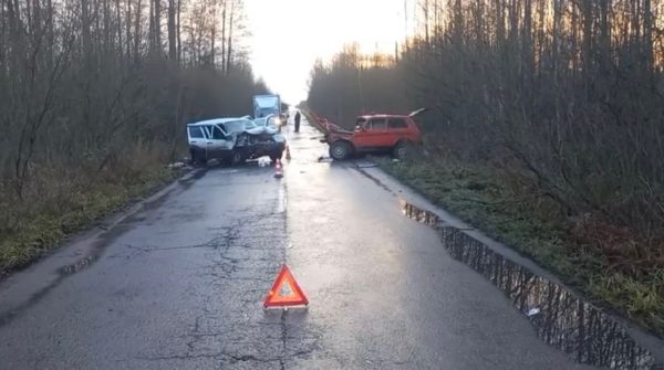 Два человека погибли в аварии в Выксунском районе