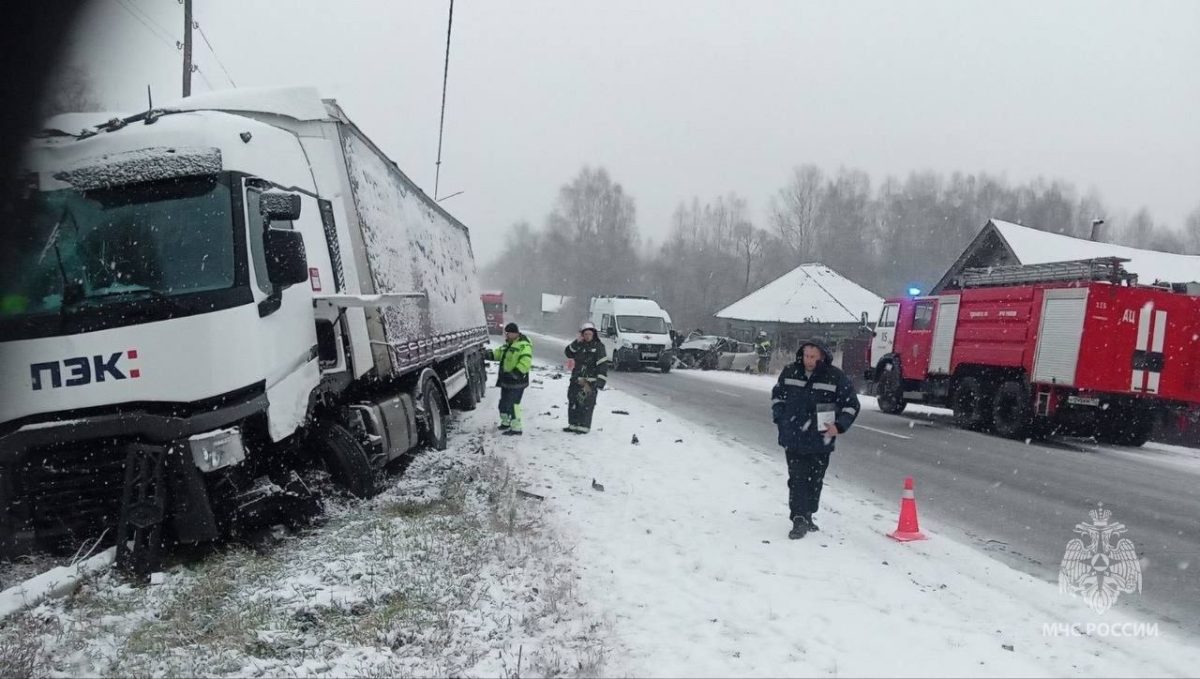 ГУ МЧС России по Нижегородской области