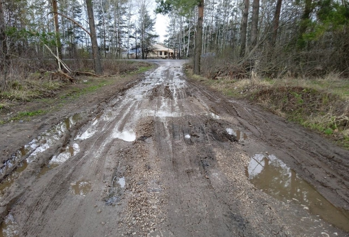 Жители Богородска пожаловались на разбитую дорогу к участкам для многодетных