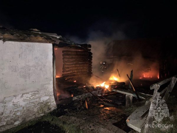 Пенсионер погиб на пожаре в Починковском округе