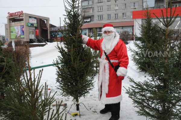 Где купить елку: адреса елочных базаров в Нижнем Новгороде 