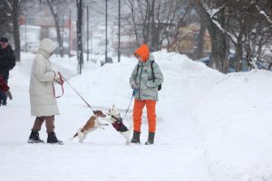 Весна в Нижний Новгород придет раньше срока