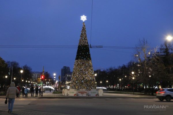 Стало известно, где появятся новогодние ёлки в Нижнем Новгороде