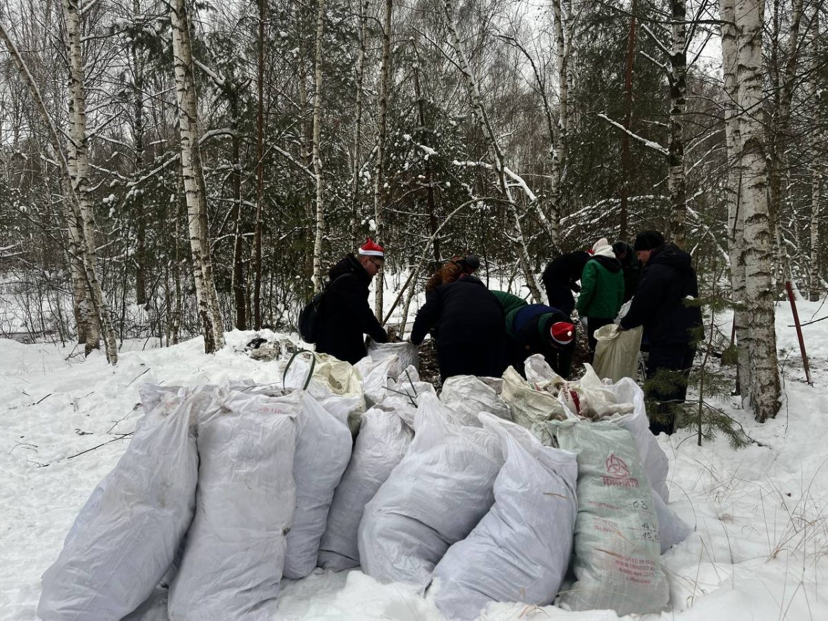 Около 4 000 кубометров мусора вывезли из нижегородских лесов в этом году