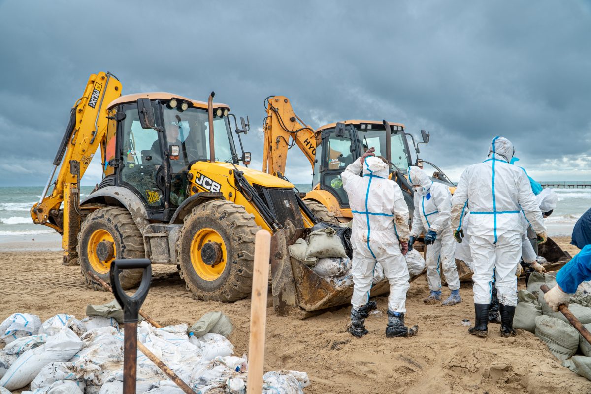 Волонтеров, устраняющих разлив мазута в Черном море, поселят в квартирах