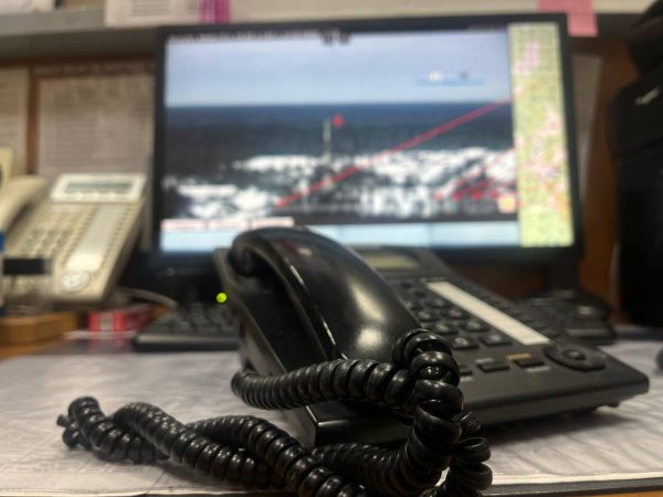 Более 170 обращений поступило в диспетчерскую службу лесного хозяйства Нижегородской области в 2024&nbsp;году