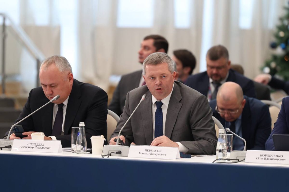 Максим Черкасов представил опыт работы по развитию индустрии детских товаров