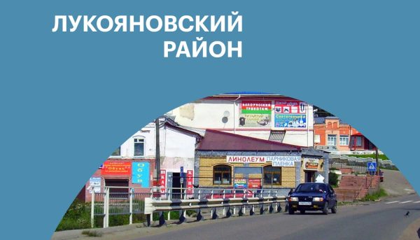 Лукояновский район — 310 лет Нижегородской области