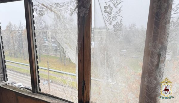 Сбросивший с балкона петарду кстовчанин проведет под арестом 24&nbsp;дня