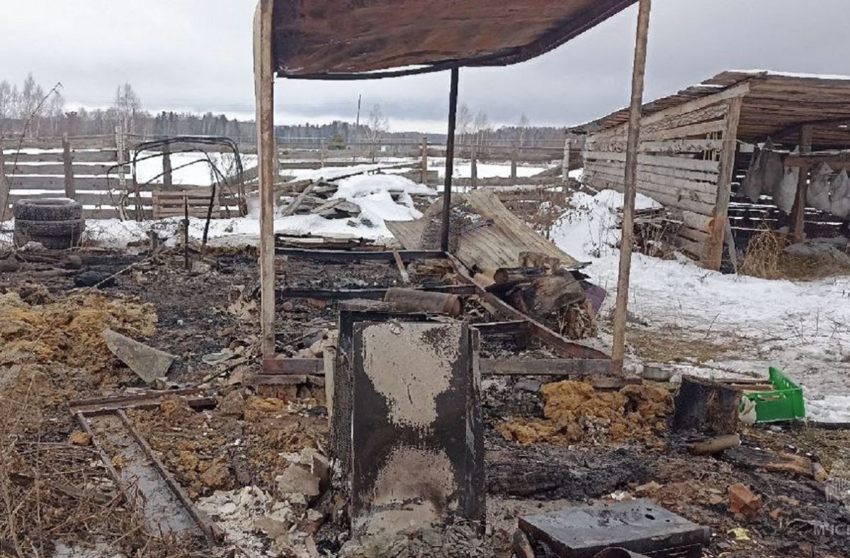 Мужчина погиб на пожаре в бытовке в Городецком районе