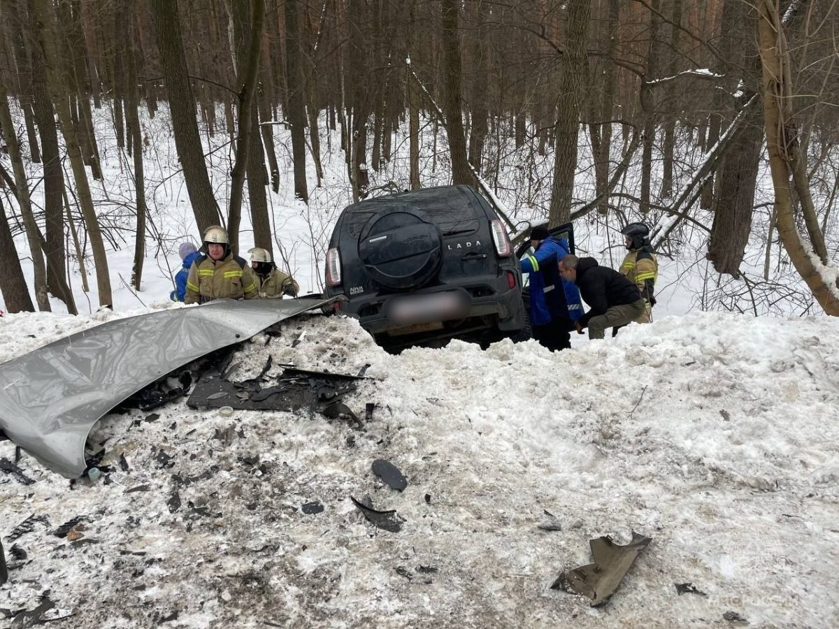 В массовой аварии в Нижегородской области пострадали пять человек