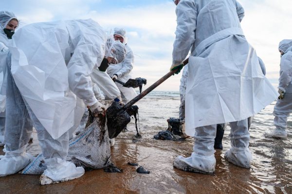 Нижегородские волонтеры рассказали, как очищают побережье Черного моря от мазута