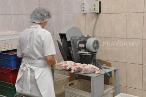 Свыше 3 тонн незаконного мяса и рыбы пытались провезти в Нижегородскую область