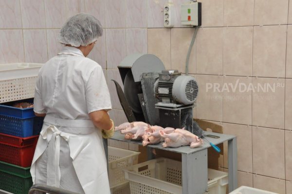 Свыше 3 тонн незаконного мяса и рыбы пытались провезти в Нижегородскую область